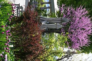 ウエディングガーデン