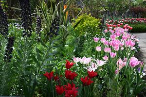 ウエディングガーデン