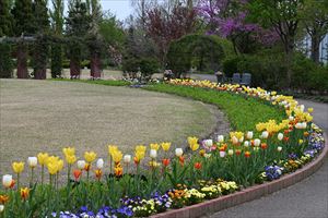 アナベルロード