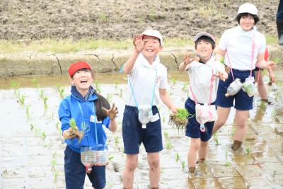 児童が笑顔で田植えをする様子