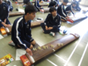 琴③