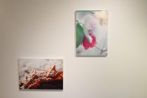展示作品③