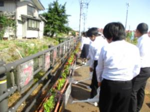 水やり①