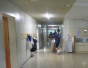 復元②