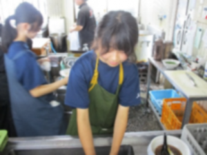 職体①