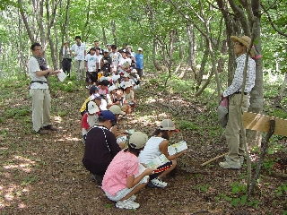 園内遊歩道