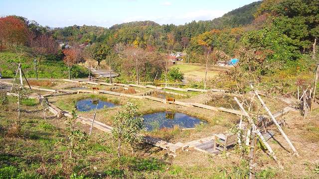 水辺広場全景