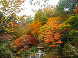 公園風景