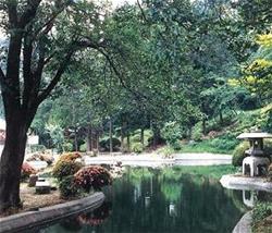 日本庭園を思わせる風景の画像