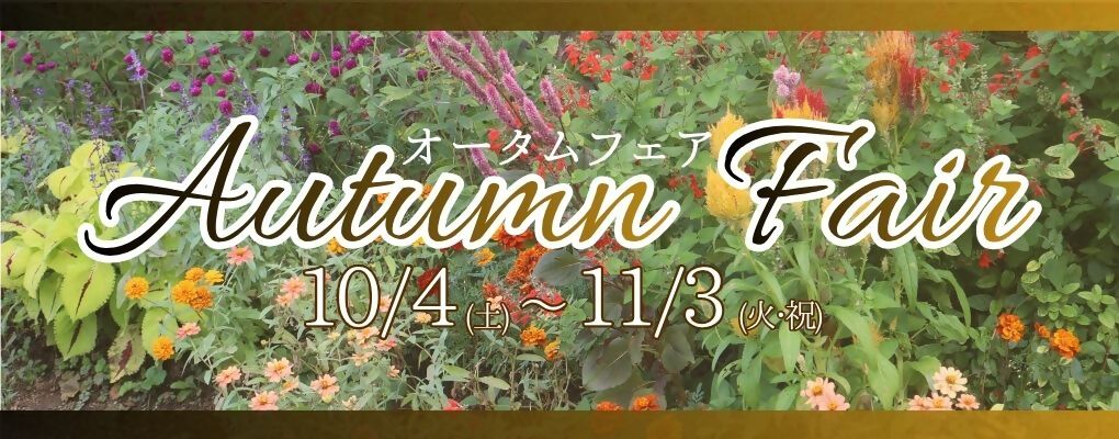 オータムフェア