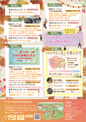 チラシ裏