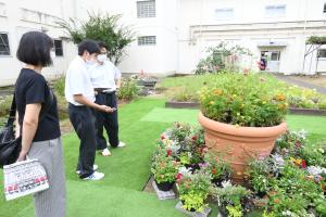 和光祭で展示された寄せ植えを生徒が紹介している様子