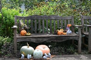 ハロウィンディスプレイ