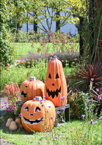 ハロウィンディスプレイ