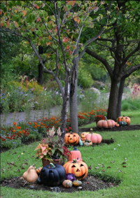 ハロウィンディスプレイ