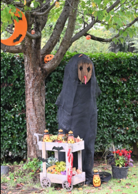 ハロウィンディスプレイ