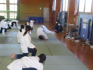 柔道お手本