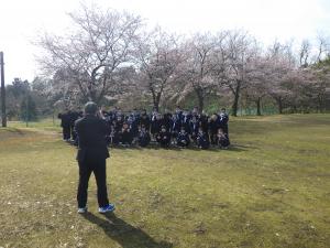 桜１