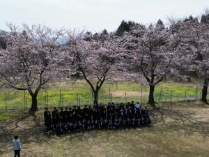 ドローン桜
