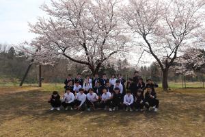 桜３