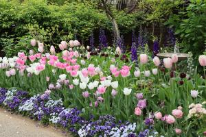 スプリングフェアの様子