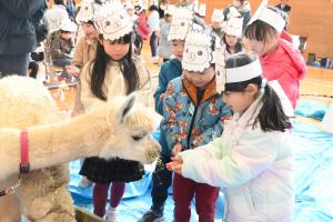 最後にえさをあげる児童たち