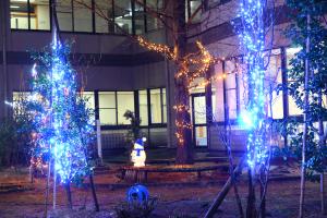 ケアプラザ見附イルミネーションの様子