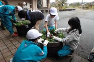 花植え１