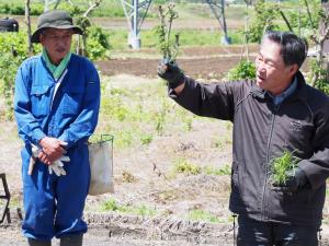 田植え2
