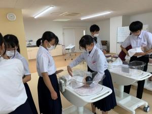 専門学校介護