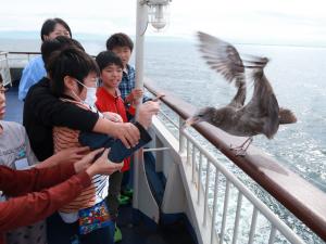 船旅2