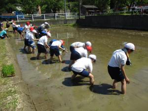 5月8日　田植え