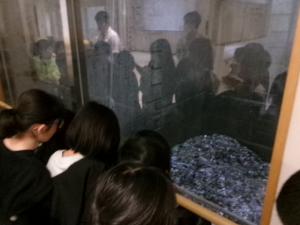 ごみを見ている様子