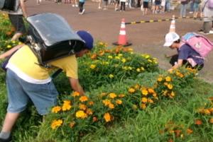 草取りをする様子