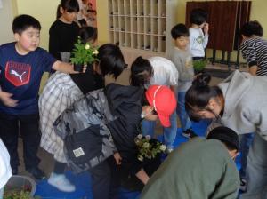 秋の花の植え替え活動　その2