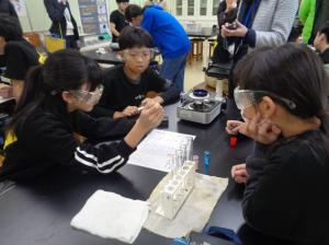 3学期　学習参観の様子　その4