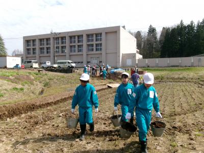 堆肥まき(2)