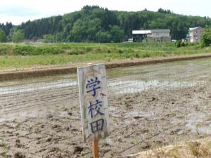 R8田植え3