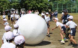 大玉
