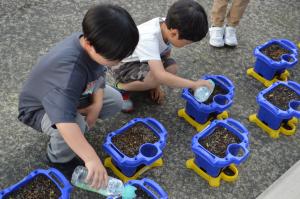 水やりをする子ども2