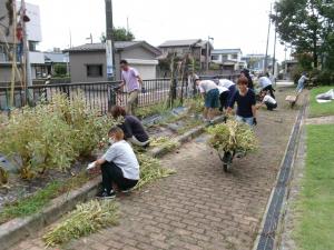 花壇の整備作業