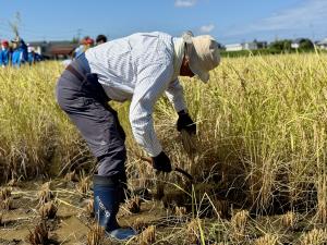 保護・地域ボランティアの方