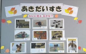 秋の展示