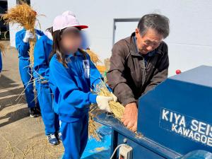 子どもが脱穀している様子