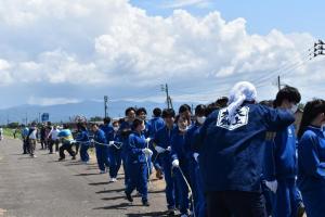 土手で凧