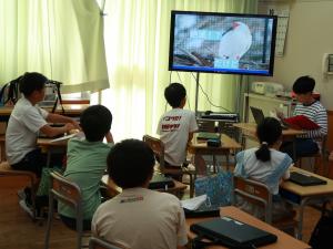 修学旅行発表1