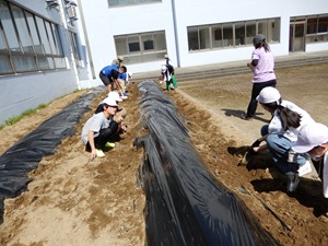 環境整備作業