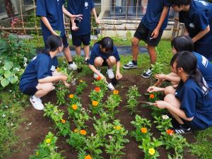 花植え作業