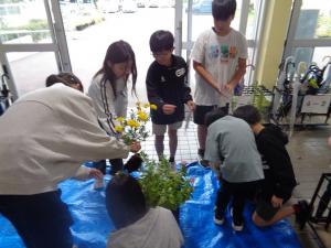 秋の花の植え替え活動　その1