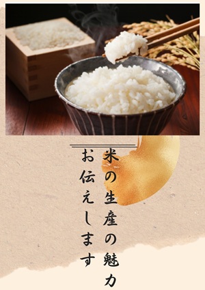 米づくりの魅力１